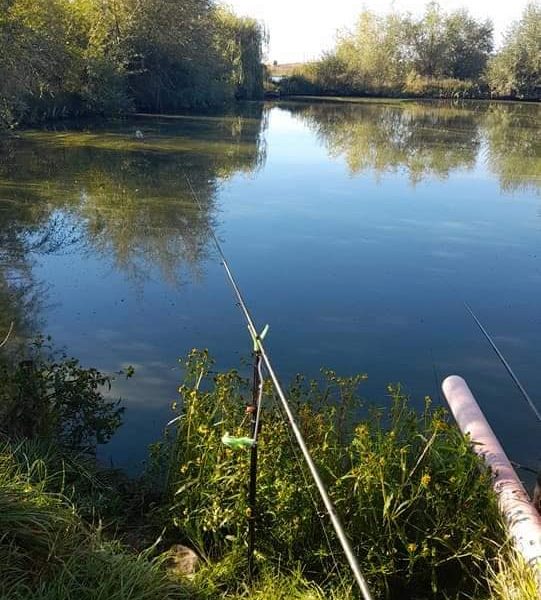 Lac/Balta pescuit sportiv Dragomirna - Burac