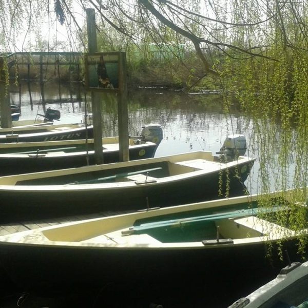 Pensiunea Delta Paradis